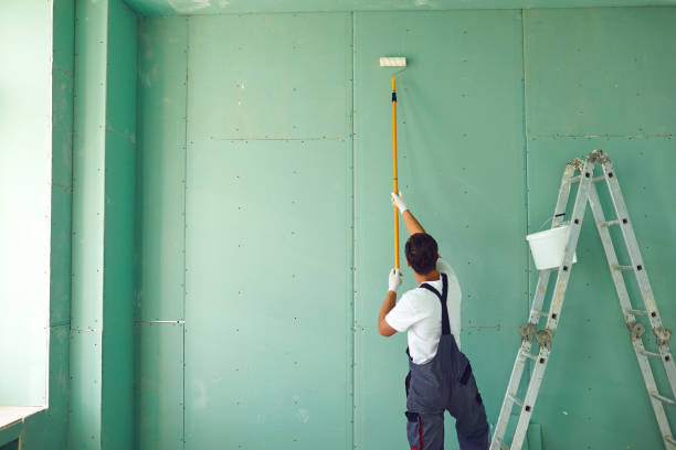 Professional Dry wall and painting in Leander, TX